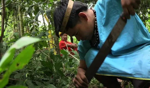 Comunidad Amazónca Siekopai: Cultura del agua por su territorio