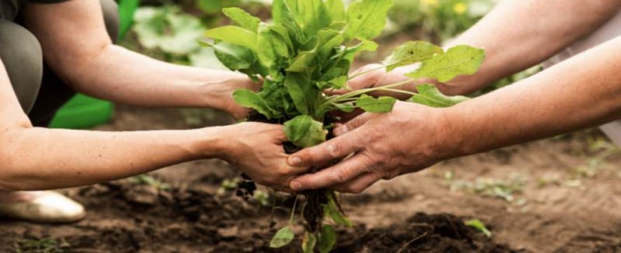 Posdesarrollo y cooperaci&oacute;n