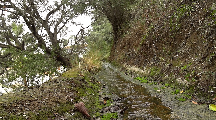 Comunidad Amazónca Siekopai: Cultura del agua por su territorio